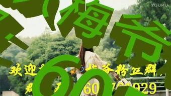 3d金梅在线观看